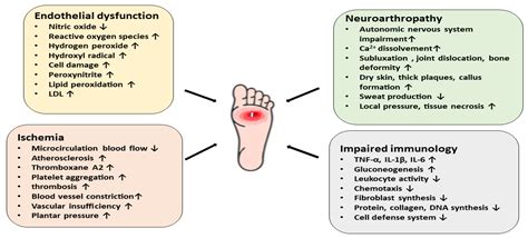 Hyperglycaemia-Linked Diabetic Foot Complications and Their Management Using Conventional and ...