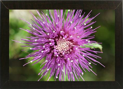 Frame USA SEM9155-GORSEM106133 8.5"x12.75" by Gordon Semmens in a ...