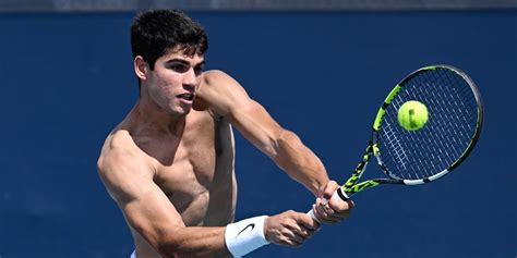 Alcaraz 的图像结果