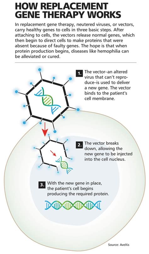Gene Therapy Process Steps 的图像结果