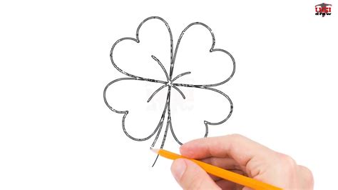 How to Draw a Four Leaf Clover Step by Step Easy for Beginners/Kids ...