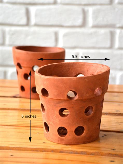 Orchid Terracotta Pot (Set of 2) — Mudfingers