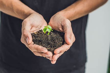 人类环境 的图像结果