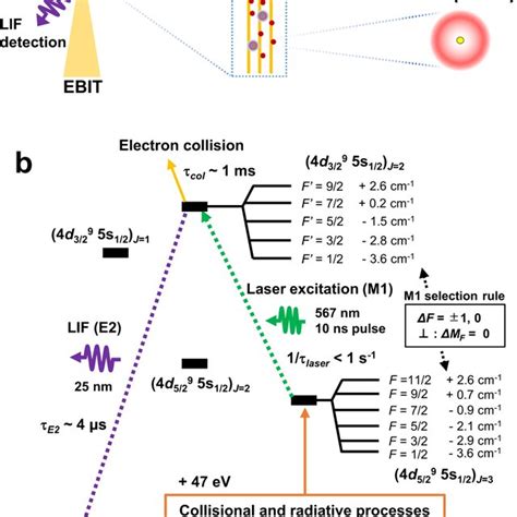 Image result for Laser Lead Extraction Animation Spectranetics