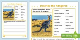 What is a Kangaroo? | Kangaroo Facts for Kids | Twinkl Wiki