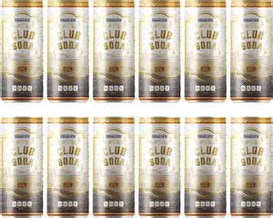 Newtreo Club Soda Pack of 12 x 100 ml cans high-end mixer extra fizz ...