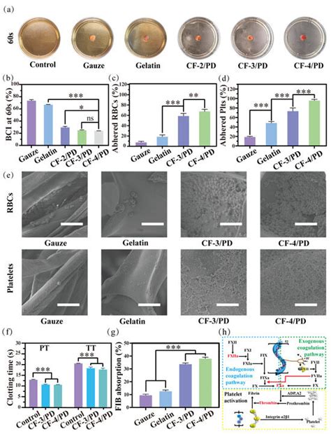 Biodegradable and Mechanically Resilient Recombinant Collagen/PEG ...