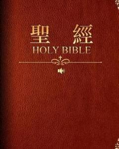 书,圣经,基督教高清图库素材免费下载(图片编号:6767793)-六图网