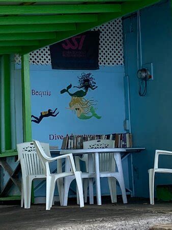 Bequia Dive Adventures - All You Need to Know BEFORE You Go