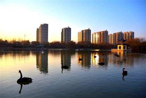 【夕阳之下（拍摄于河北邯郸市广平县天鹅湖公园）摄影图片】生态摄影_太平洋电脑网摄影部落