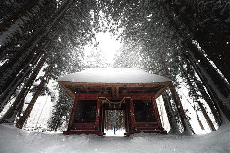Four Seasons in Japan | Behance