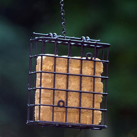 Suet Cage For Birds Pics