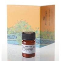 Promega Celltiter 96(r) Aqueous Mts 1g G1111 | w/ Free Shipping and ...