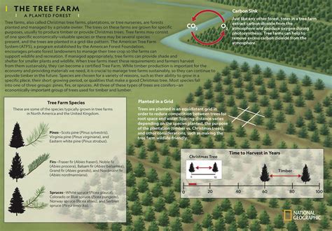 Tree of Life 的图像结果