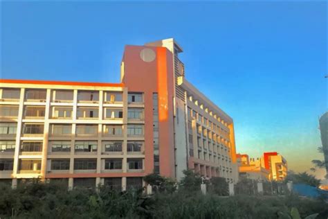 惠州市公立小学排名榜 惠州北师大小学上榜第一名列前茅 - 小学