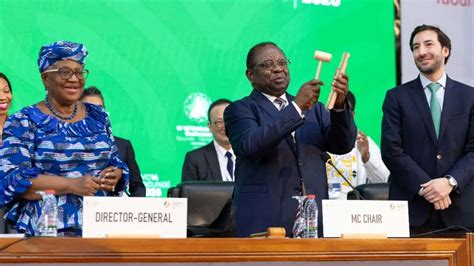 WTO 14th Ministerial Conference Concludes: India Focuses on Reforms ...
