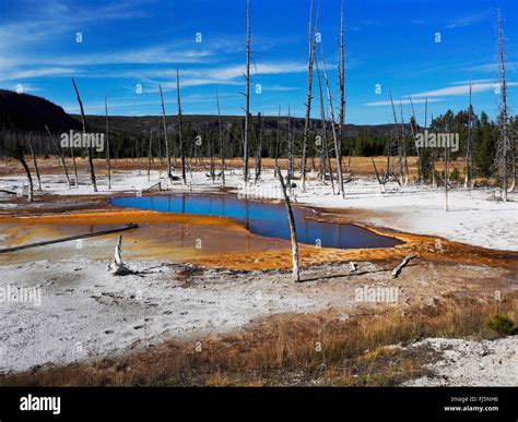 Opalescent Pool, Black Sand Basin, USA, Wyoming, Yellowstone National ...