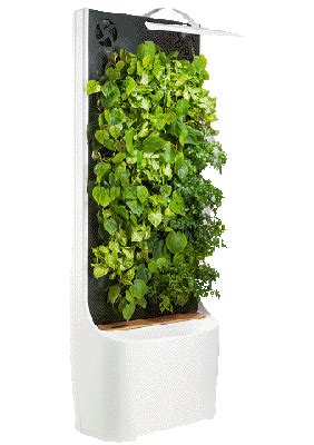 Landscape Designing, management, Landscape maintenance, Green wall ...