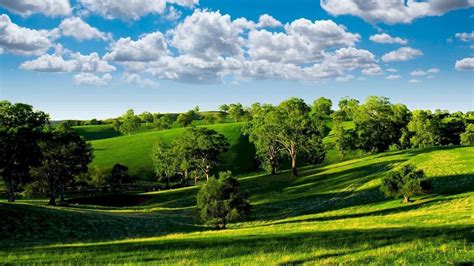 HD Landscape View 的图像结果