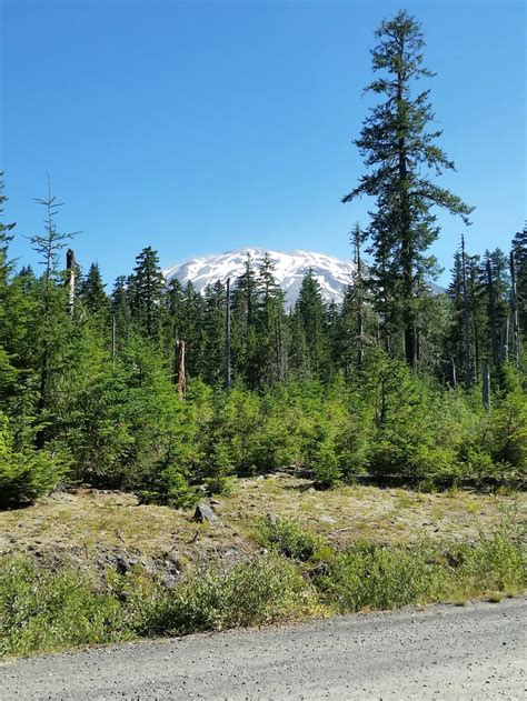 Volcanic Splendor Abound at These 7 Mount St. Helens Camping Sites