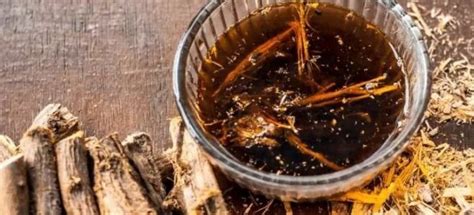 Корень солодки от кашля, чистка лимфы солодкой, лечебные свойства солодки