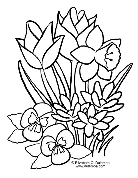 spring flowers colouring pages #1900094