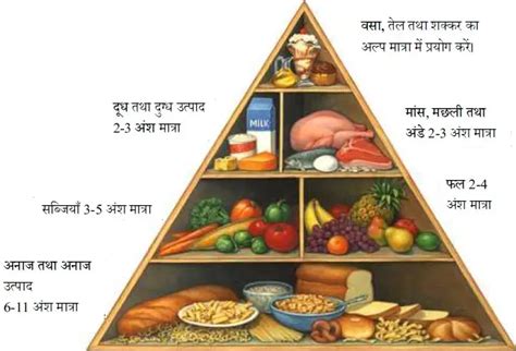 संतुलित आहार किसे कहते हैं संतुलित आहार की परिभाषा