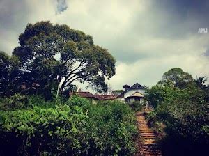 Top 20 things to do in Kuttikkanam (Updated Sep 2024)