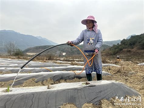 不负好春光 田间播种忙—— 榆阳区按下春耕春种“快进键”_榆林农机局