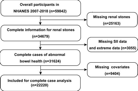 Frontiers | Association between the systemic immune-inflammation index and kidney stone: A cross ...