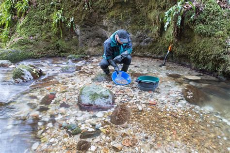 Gold Panning