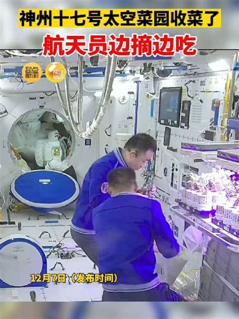 中国人的“太空菜园”种了啥？揭秘|航天员|水稻|太空_新浪新闻