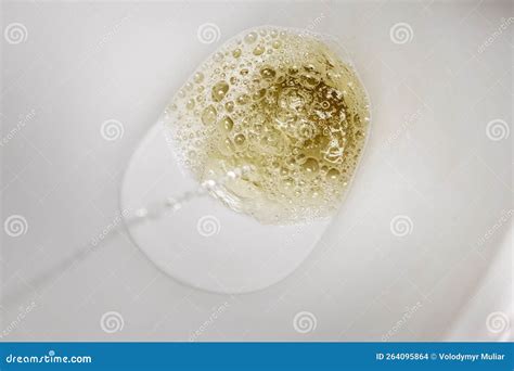 The Lavatory in the Toilet and the Stream of Urine during Urination ...