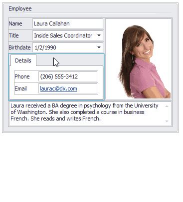 Image result for Create Tabbed Form Using Asp.net