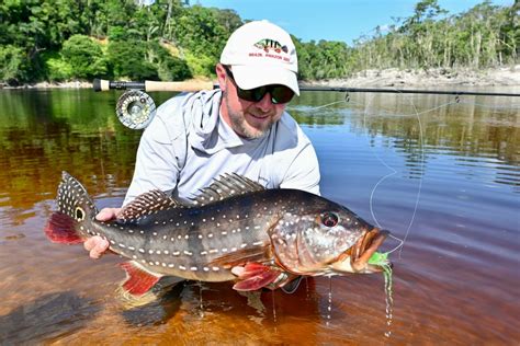 WORLD RECORD PEACOCK BASS | The Mission Fly Fishing Magazine