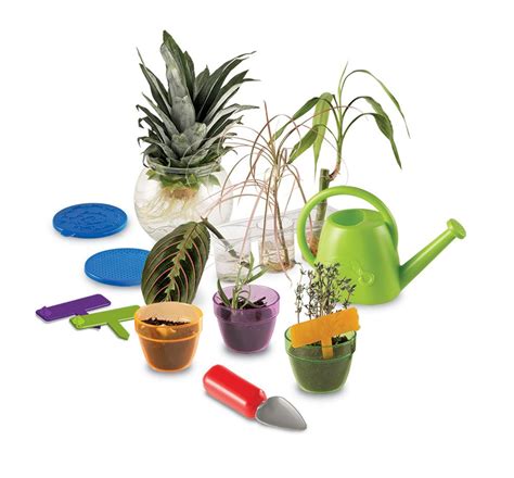 Buy Learning Resources Primary Science Plant & Grow Set Online at Low ...