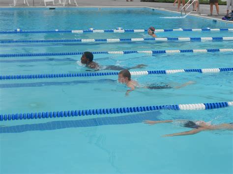 Swim Team Picture Day 的图像结果