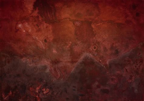 SITE SANTA FE | Events | Opening Celebration