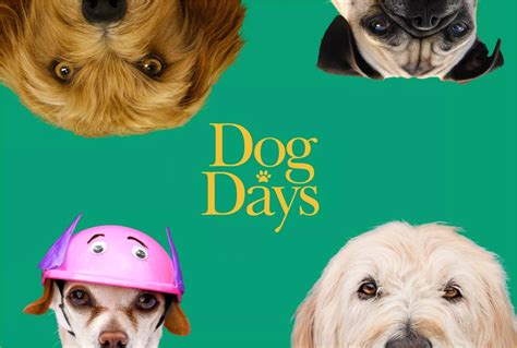 Dog Days HD Wallpapers | Background Images