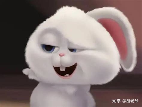 《兔子蹦蹦 青蛙跳跳》绘本系列：大兔子，胆小鬼 - 爱贝亲子网