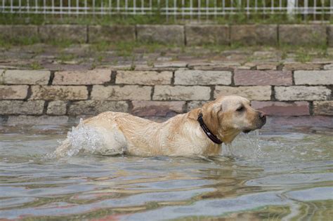 Image result for Example Python Code for Water Discharge