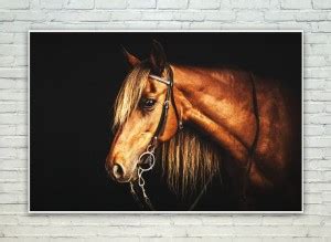 Posterskart Brown Beautiful Horse Wall Poster Paper Print - Art ...