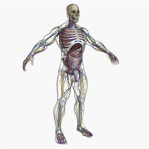 Image result for Anatomy of a Function in JavaScript