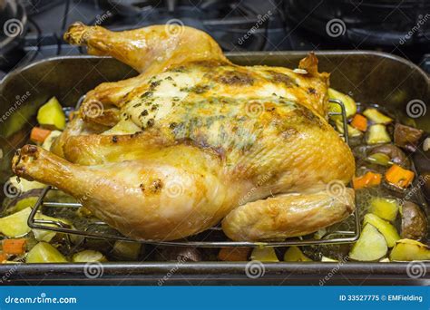 Oven Roasted Herb Chicken stock image. Image of chicken - 33527775