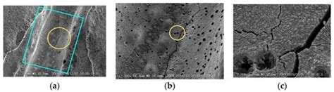Investigation of Impulse Aging of Energy-Absorption Elements for Hybrid ...