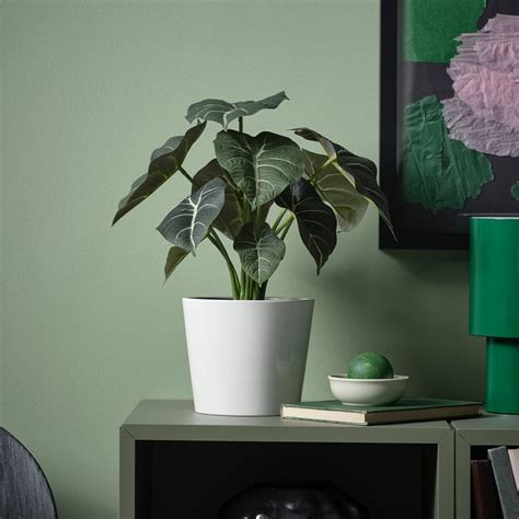 FEJKA artificial potted plant, in/outdoor Alocasia, 12 cm (4 ¾") - IKEA