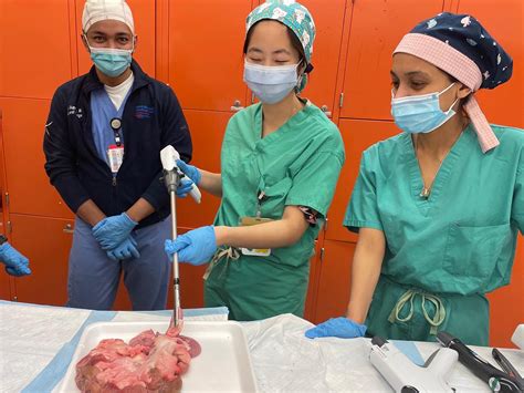 Image result for Surgery Simulation