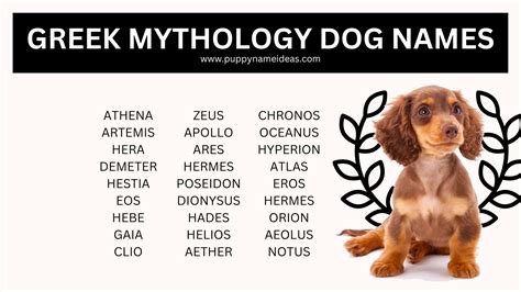280+ Greek Mythology Dog Names - Puppy Name Ideas