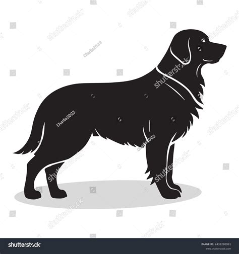 Golden Retriever Silhouette Image 24 Golden Retriever Silhouette High - silhouette of golden retriever