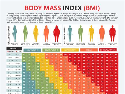 Body Mass Index Chart, Digital Download PDF, Height and Weight, Body ...